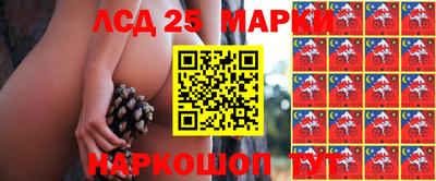 прущие крисы Кимры