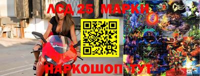 прущие крисы Кимры