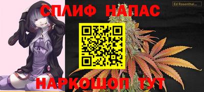 ГАЛЛЮЦИНОГЕННЫЕ ГРИБЫ Кингисепп