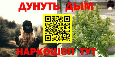 прущие крисы Кимры